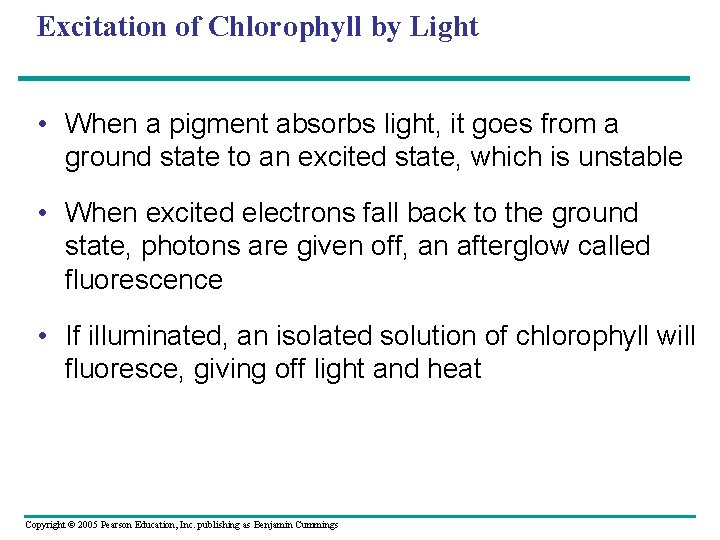 Excitation of Chlorophyll by Light • When a pigment absorbs light, it goes from