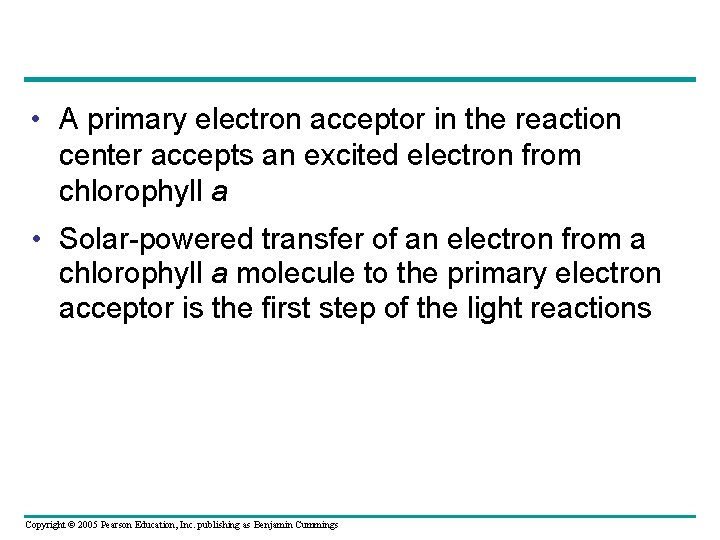  • A primary electron acceptor in the reaction center accepts an excited electron