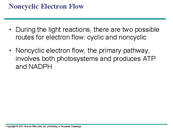 Noncyclic Electron Flow • During the light reactions, there are two possible routes for