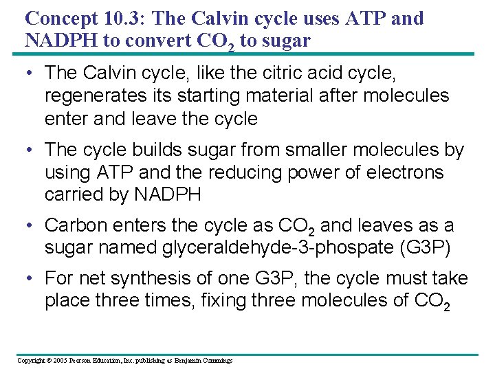 Concept 10. 3: The Calvin cycle uses ATP and NADPH to convert CO 2