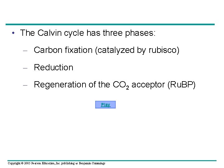  • The Calvin cycle has three phases: – Carbon fixation (catalyzed by rubisco)