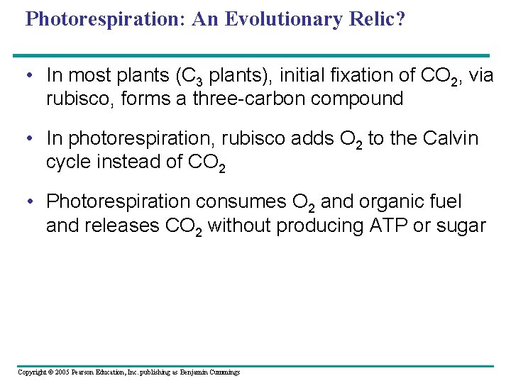 Photorespiration: An Evolutionary Relic? • In most plants (C 3 plants), initial fixation of