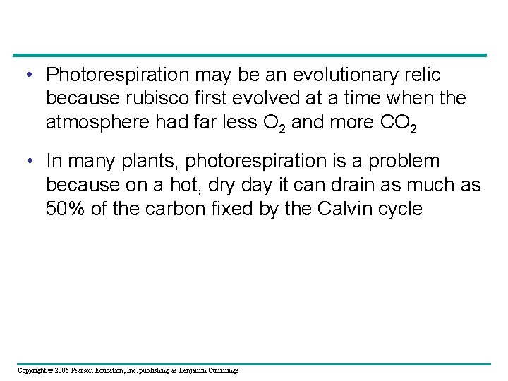  • Photorespiration may be an evolutionary relic because rubisco first evolved at a