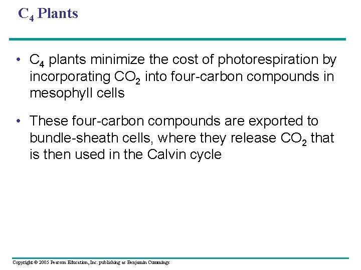 C 4 Plants • C 4 plants minimize the cost of photorespiration by incorporating