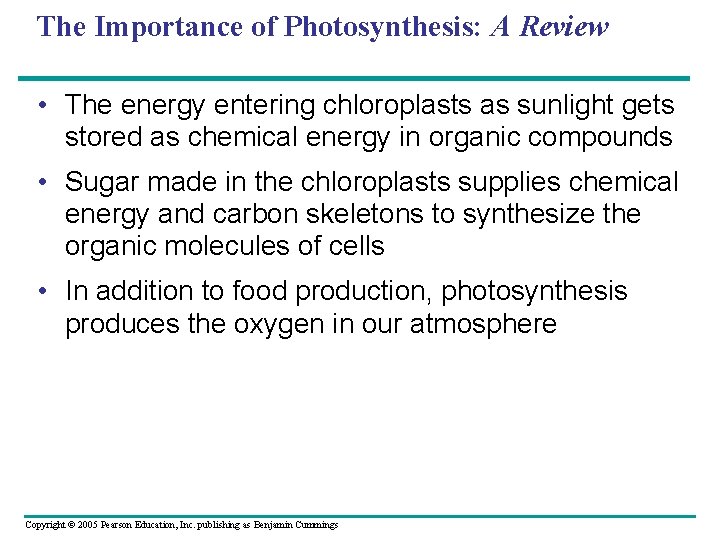 The Importance of Photosynthesis: A Review • The energy entering chloroplasts as sunlight gets
