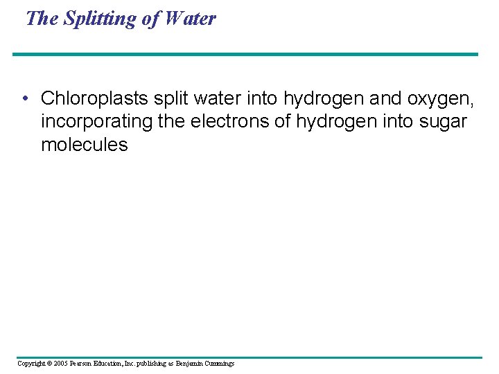 The Splitting of Water • Chloroplasts split water into hydrogen and oxygen, incorporating the