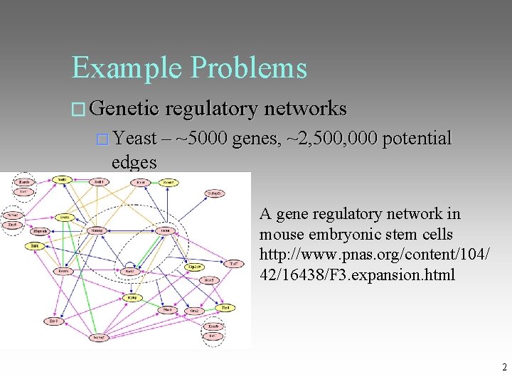 Example Problems � Genetic regulatory networks � Yeast – ~5000 genes, ~2, 500, 000