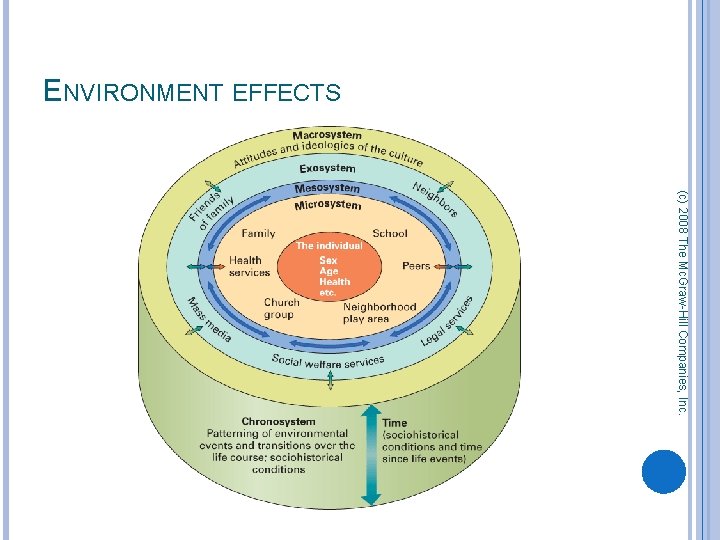 ENVIRONMENT EFFECTS (c) 2008 The Mc. Graw-Hill Companies, Inc. 