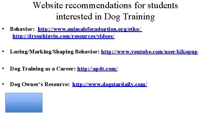 Website recommendations for students interested in Dog Training • Behavior: http: //www. animalsforadoption. org/etho/