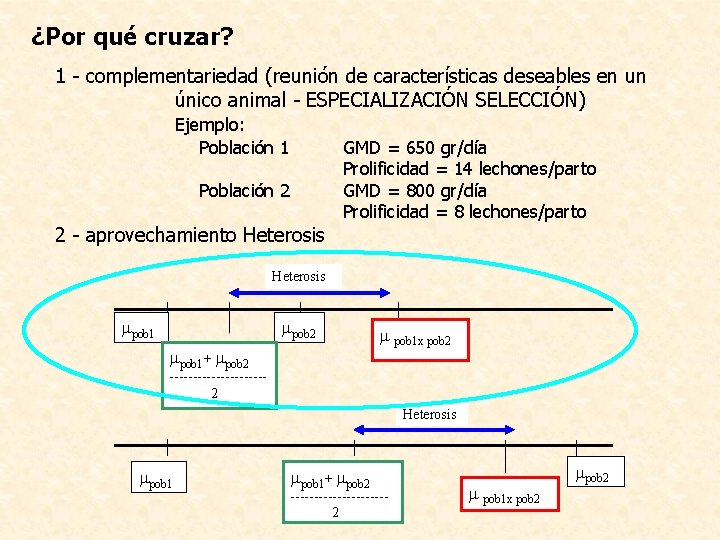 ¿Por qué cruzar? 1 - complementariedad (reunión de características deseables en un único animal