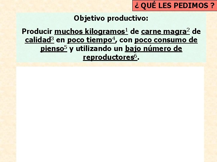 ¿ QUÉ LES PEDIMOS ? Objetivo productivo: Producir muchos kilogramos 1 de carne magra