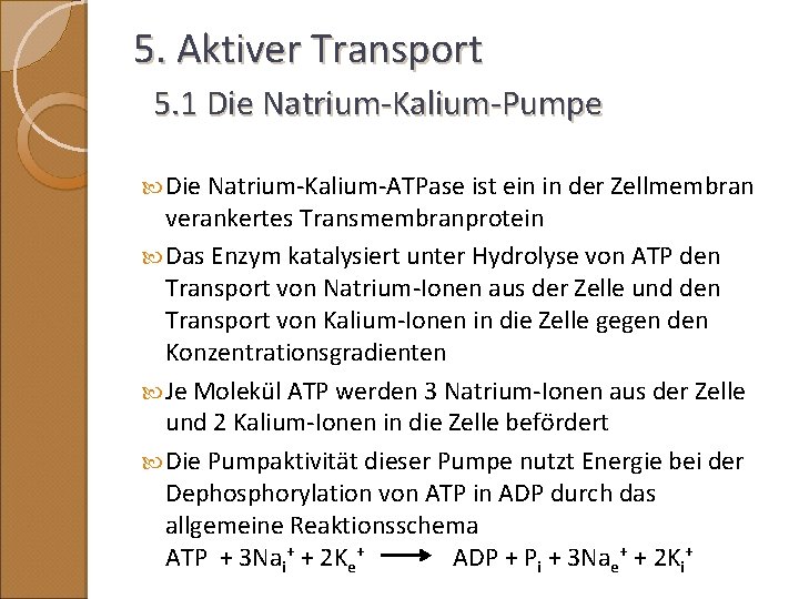 5. Aktiver Transport 5. 1 Die Natrium-Kalium-Pumpe Die Natrium-Kalium-ATPase ist ein in der Zellmembran