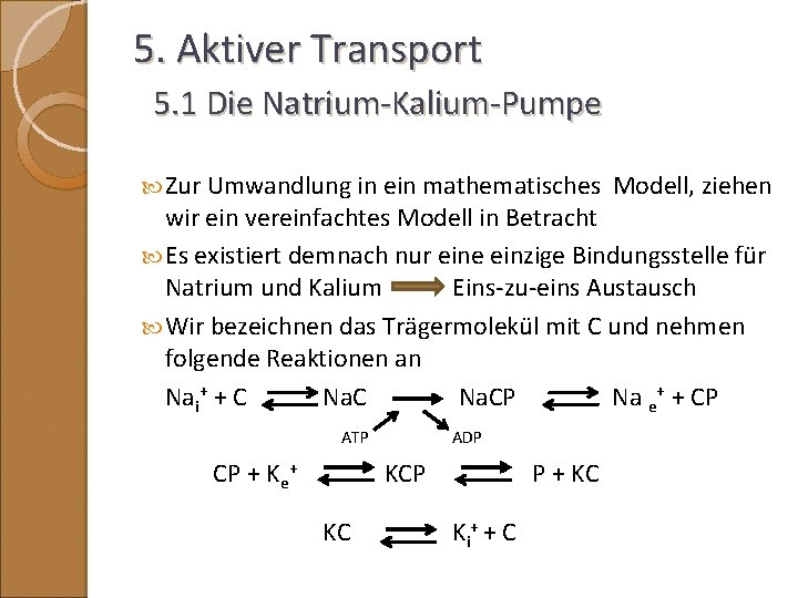 5. Aktiver Transport 5. 1 Die Natrium-Kalium-Pumpe Zur Umwandlung in ein mathematisches Modell, ziehen