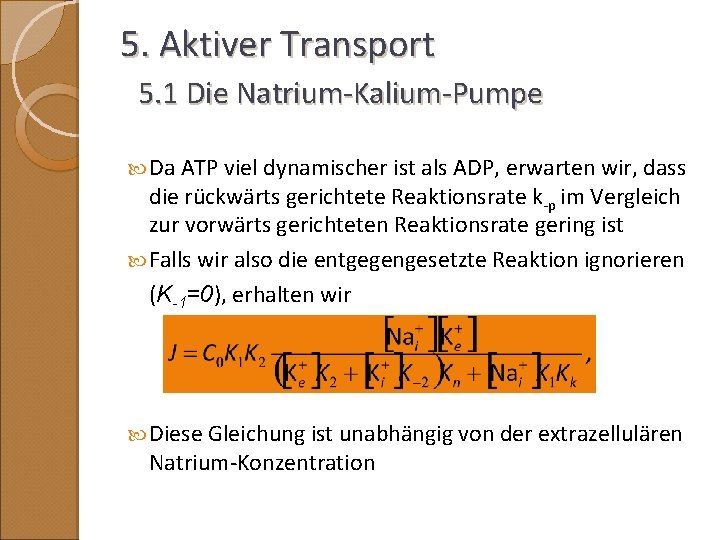 5. Aktiver Transport 5. 1 Die Natrium-Kalium-Pumpe Da ATP viel dynamischer ist als ADP,
