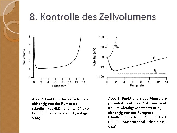 8. Kontrolle des Zellvolumens Abb. 7: Funktion des Zellvolumen, abhängig von der Pumprate (Quelle: