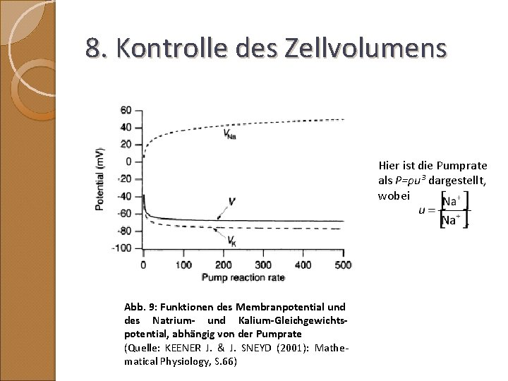 8. Kontrolle des Zellvolumens Hier ist die Pumprate als P=ρu³ dargestellt, wobei Abb. 9: