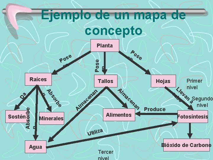 Ejemplo de un mapa de concepto Planta Po en se e Pose en s