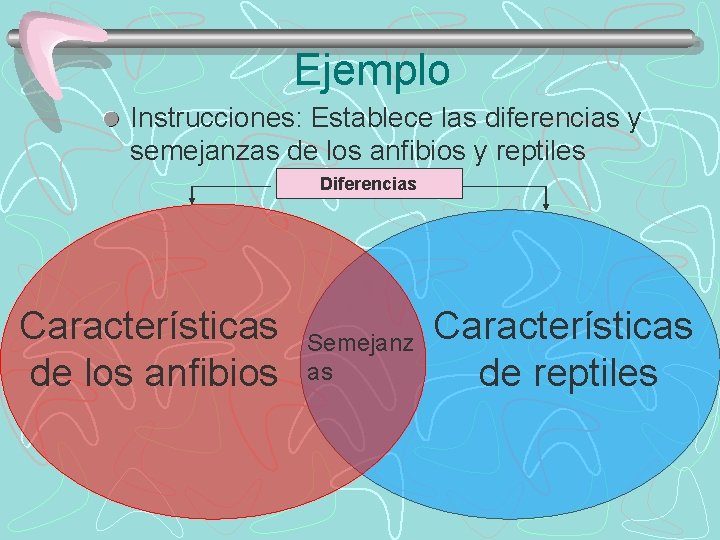 Ejemplo Instrucciones: Establece las diferencias y semejanzas de los anfibios y reptiles Diferencias Características