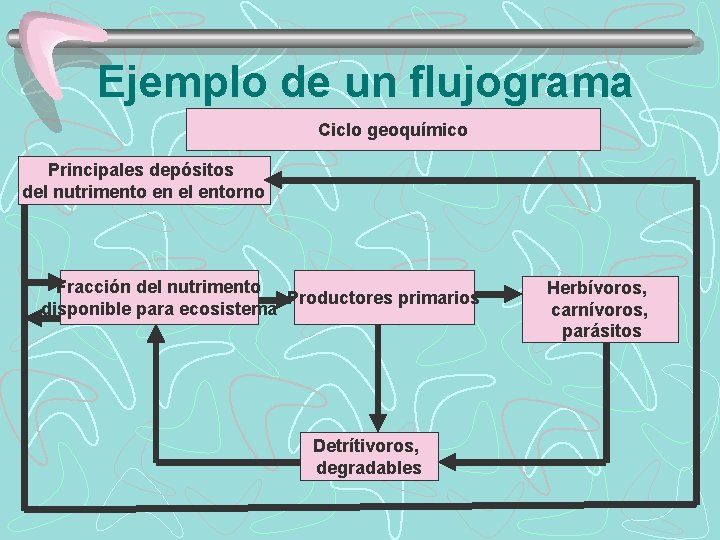 Ejemplo de un flujograma Ciclo geoquímico Principales depósitos del nutrimento en el entorno Fracción