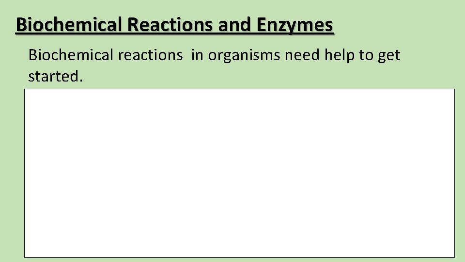 Biochemical Reactions and Enzymes Biochemical reactions in organisms need help to get started. Living