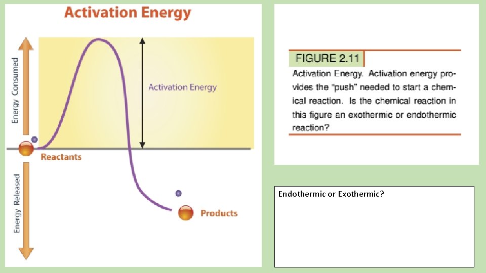 Endothermic or Exothermic? 