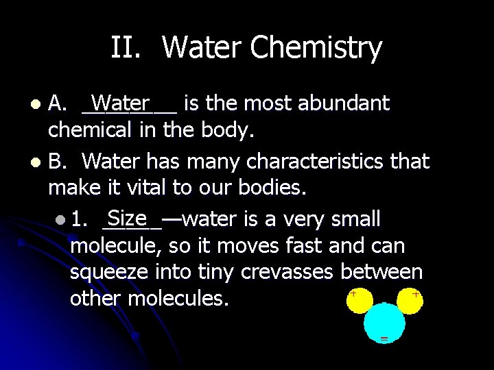 II. Water Chemistry A. ____ Water is the most abundant chemical in the body.