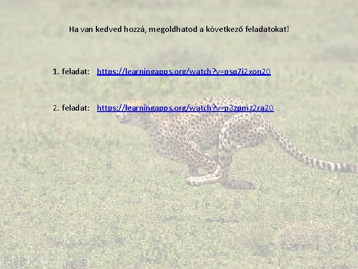 Ha van kedved hozzá, megoldhatod a következő feladatokat! 1. feladat: https: //learningapps. org/watch? v=psq