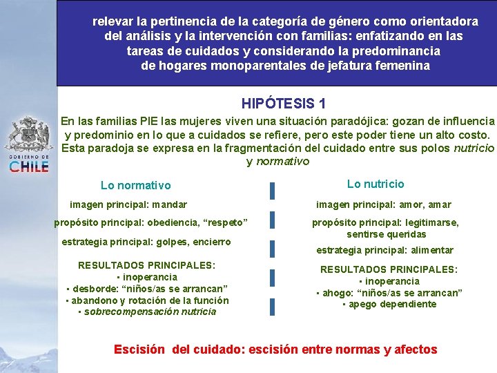 relevar la pertinencia de la categoría de género como orientadora del análisis y la