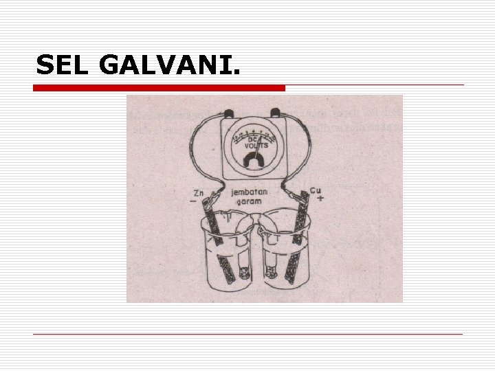 SEL GALVANI. 