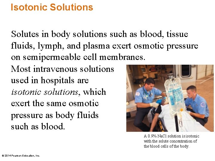 Isotonic Solutions Solutes in body solutions such as blood, tissue fluids, lymph, and plasma