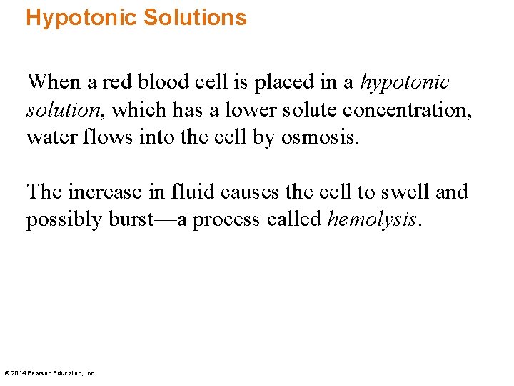 Hypotonic Solutions When a red blood cell is placed in a hypotonic solution, which