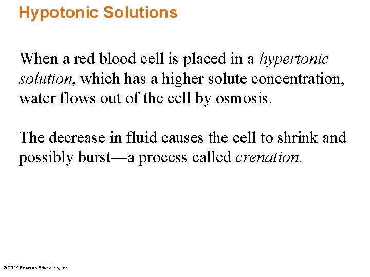 Hypotonic Solutions When a red blood cell is placed in a hypertonic solution, which