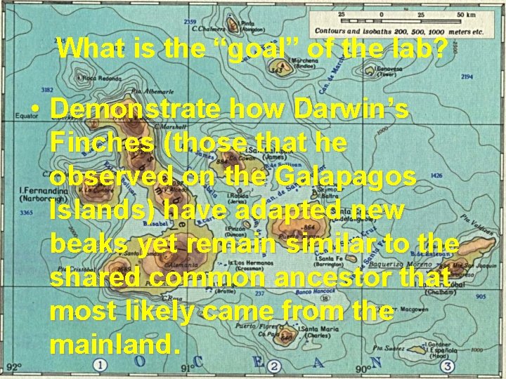 What is the “goal” of the lab? • Demonstrate how Darwin’s Finches (those that