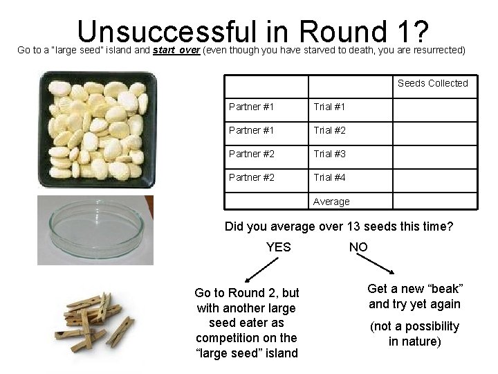 Unsuccessful in Round 1? Go to a “large seed” island start over (even though