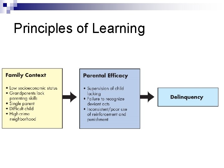 Principles of Learning 