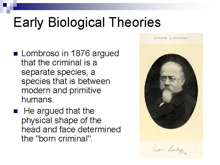 Early Biological Theories n n Lombroso in 1876 argued that the criminal is a