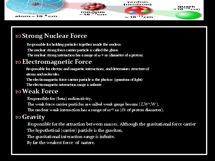  Strong Nuclear Force Responsible for holding particles together inside the nucleus. The nuclear