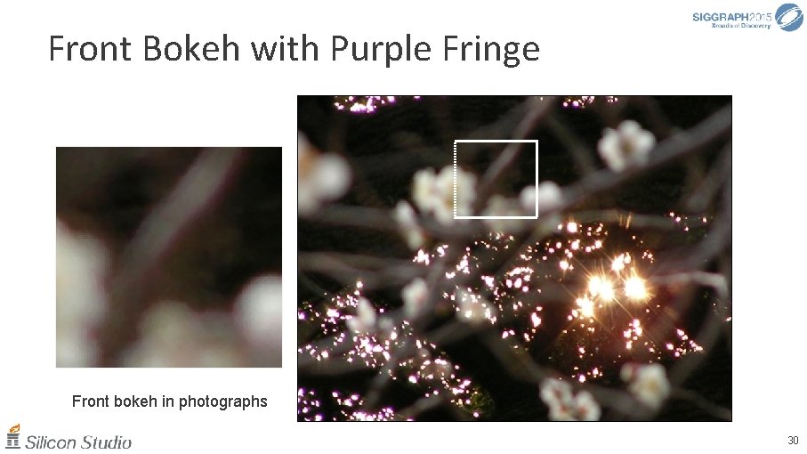 Front Bokeh with Purple Fringe Front bokeh in photographs 30 