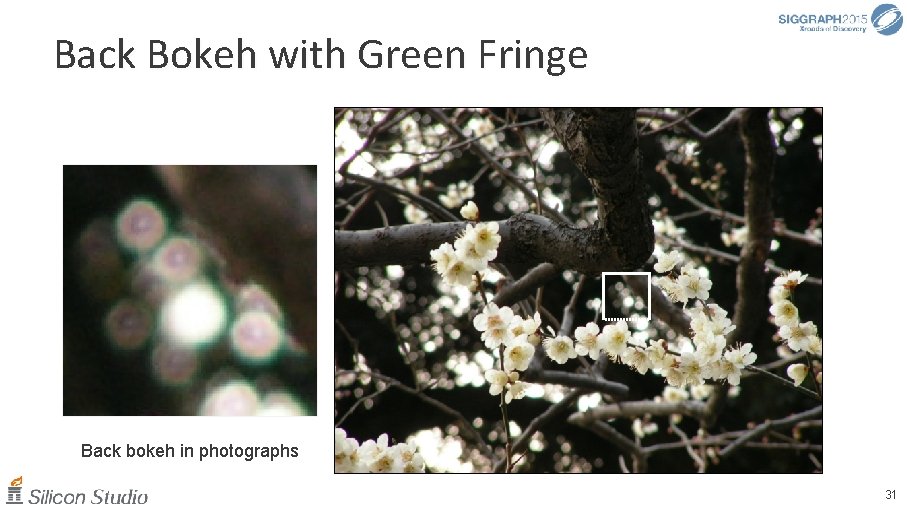 Back Bokeh with Green Fringe Back bokeh in photographs 31 