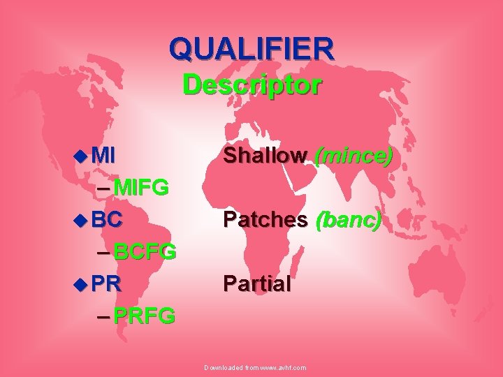 QUALIFIER Descriptor u MI – MIFG u BC – BCFG u PR – PRFG