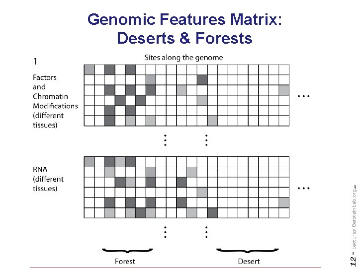 Do not reproduce without permission 12 - Lectures. Gerstein. Lab. org (c) '09 Genomic