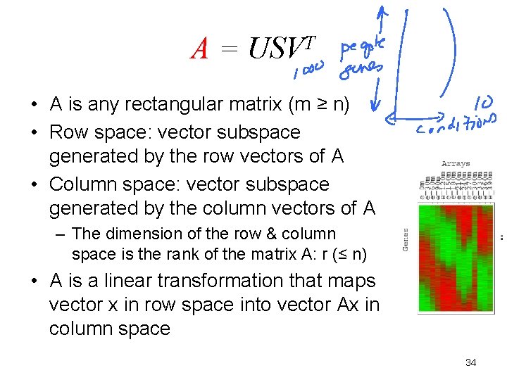 A = USVT • A is any rectangular matrix (m ≥ n) • Row