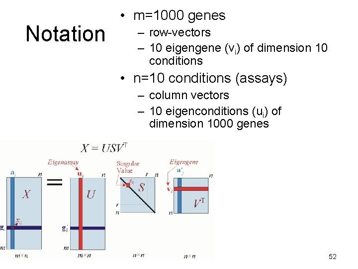 Notation • m=1000 genes – row-vectors – 10 eigengene (vi) of dimension 10 conditions