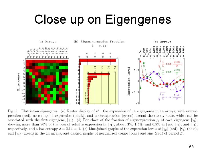 Close up on Eigengenes 53 