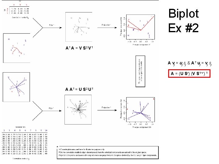 Biplot Ex #2 AT A = V S 2 V T A vj =
