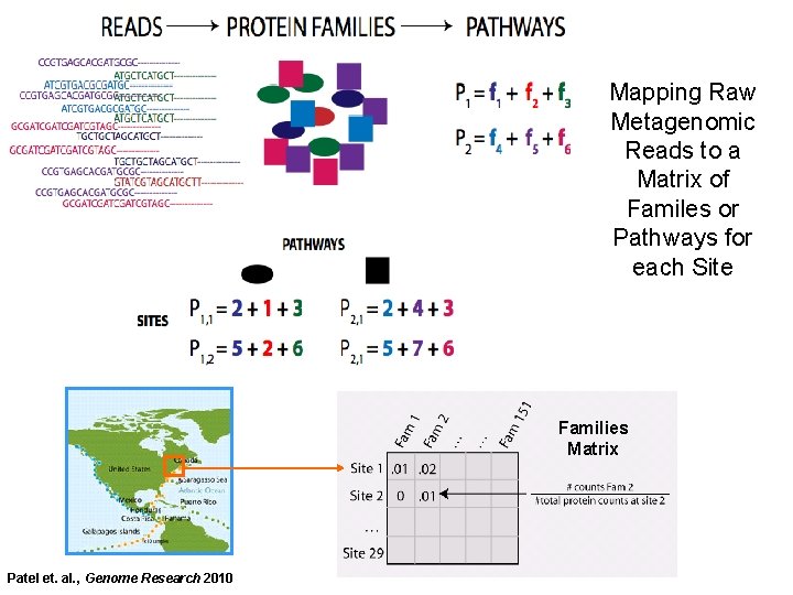 Mapping Raw Metagenomic Reads to a Matrix of Familes or Pathways for each Site