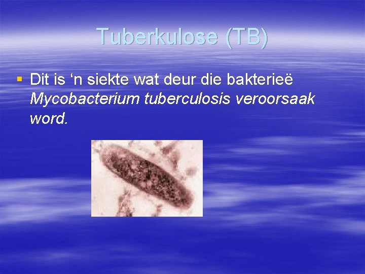 Tuberkulose (TB) § Dit is ‘n siekte wat deur die bakterieë Mycobacterium tuberculosis veroorsaak