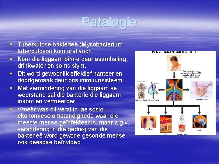 Patalogie § Tuberkulose bakterieë (Mycobacterium tuberculosis) kom oral voor. § Kom die liggaam binne