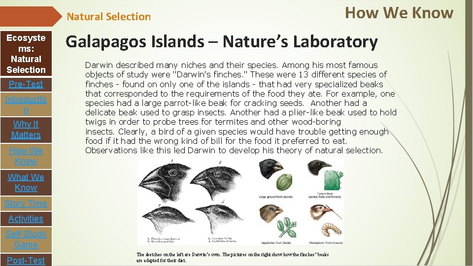 Natural Selection Ecosyste ms: Natural Selection Pre-Test Introductio n Why It Matters How We