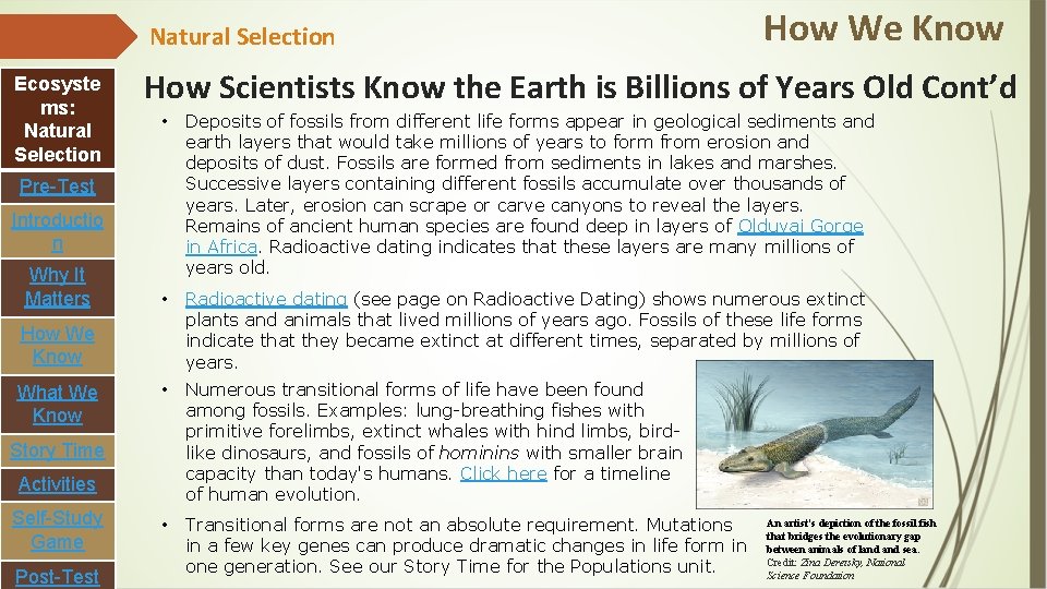 Natural Selection Ecosyste ms: Natural Selection How Scientists Know the Earth is Billions of